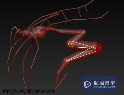 ZBrush z球的创建与使用流程