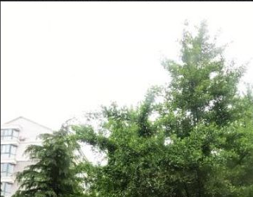 怎么去掉照片上的遮挡物？