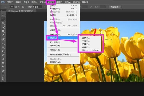 PS中选择键里面的修改为什么用不了？