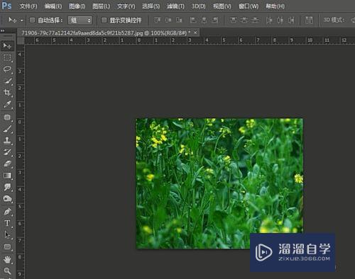<esred>如何</esred><esred>用</esred>PS<esred>对</esred>图片<esred>进行</esred>去色？