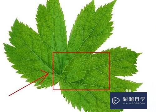 怎样用PS制作水滴？