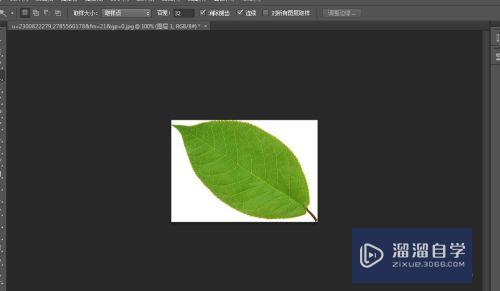 <esred>如何</esred>在<esred>PS</esred>中将<esred>图片</esred><esred>中</esred>的<esred>物体</esred>抠出来？