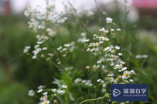 <esred>PS</esred>中怎么局部<esred>锐化</esred>？