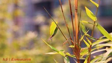 PS去水印的方法? PS去水印的方法?