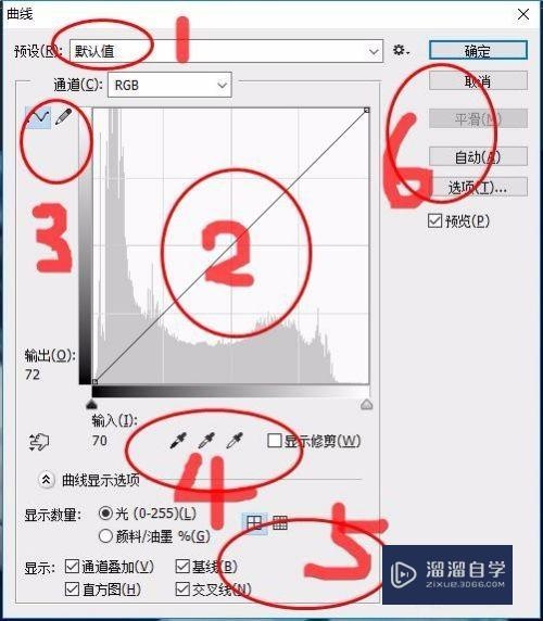 自学PS：曲线怎么用(一)？