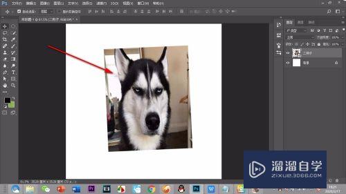 PS如何<esred>对</esred><esred>操作</esred><esred>进行</esred>撤回？