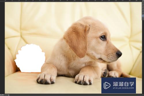 <esred>PS</esred><esred>如何</esred>清除<esred>选区</esred><esred>内</esred><esred>图像</esred>？