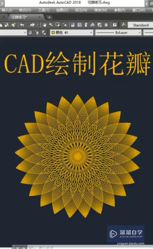 CAD中如何绘制花瓣图案？