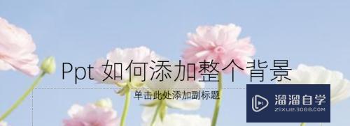 <esred>PPT</esred>怎么<esred>添加</esred>背景图片？