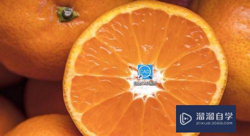 <esred>CAD</esred><esred>迷你</esred><esred>画图</esred>怎么用？