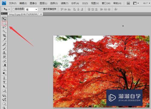 PS（Photoshop）截取圆形图片的方法