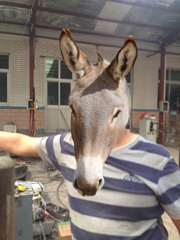 求大神ps 背景不变.人头换成驴头