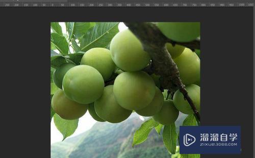 <esred>PS</esred><esred>中</esred>怎么<esred>将</esred><esred>图片</esred>设置为<esred>黑白</esred>？