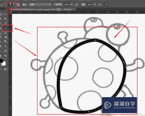 如何用PS中的钢笔工具描图？