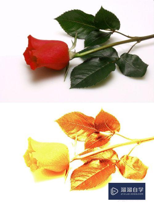 <esred>PS</esred>怎么<esred>快速</esred><esred>将</esred><esred>图片</esred>调成金色？