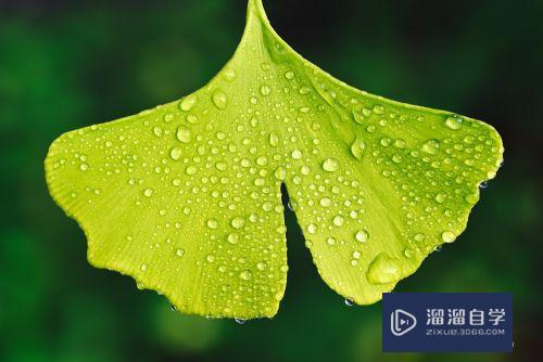 <esred>PS</esred>怎么<esred>导入</esred><esred>3</esred><esred>D</esred><esred>lut</esred><esred>调色</esred><esred>预设</esred><esred>文件</esred>？