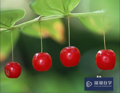 <esred>PS</esred>如何<esred>羽化</esred><esred>图片</esred>？