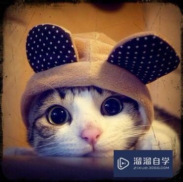 如何用PS<esred>截取</esred><esred>一段</esred>图片？