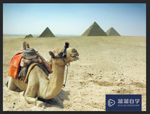 PS水平翻转<esred>命令</esred>的<esred>使用</esred><esred>方法</esred>