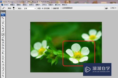 <esred>PS</esred>怎么<esred>复制</esred><esred>图</esred><esred>案</esred>？
