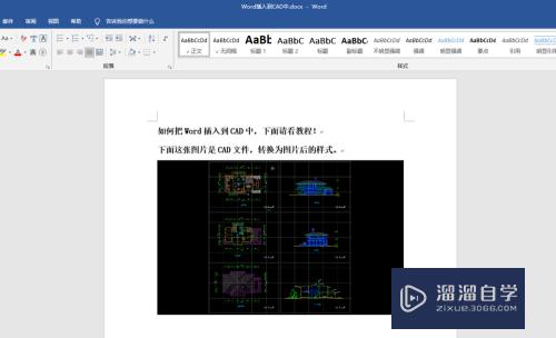 <esred>Word</esred>插入<esred>到</esred><esred>CAD</esred>怎么进行操作？