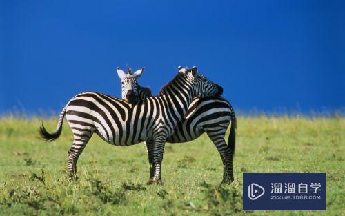 PS如何<esred>更改</esred>画布和<esred>旋转</esred>画布？