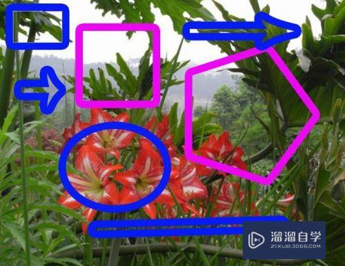 如何用<esred>PS</esred><esred>画</esred><esred>空心</esred>框？