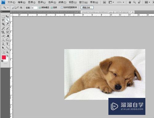<esred>PS</esred><esred>如何</esred><esred>移动</esred><esred>选好</esred>的<esred>区域</esred>？