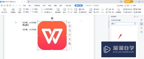 WPS隐藏和显示图片要怎么操作？