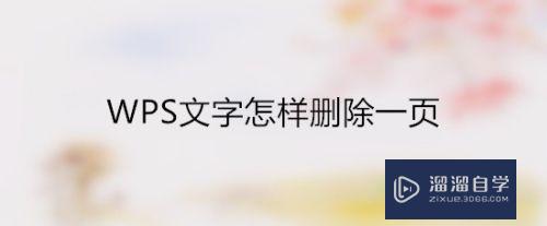 WPS文字怎样删除一页？