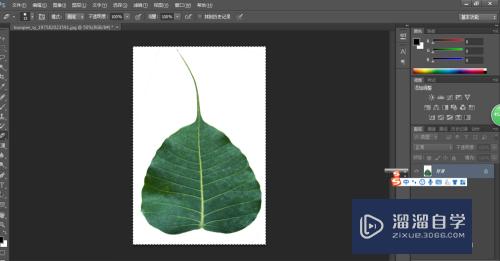 如何使用<esred>PS</esred>将图<esred>片中</esred>的背景<esred>颜色</esred>取消？