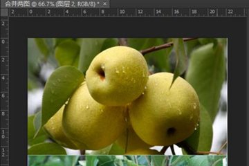 PS怎样拼接图片？