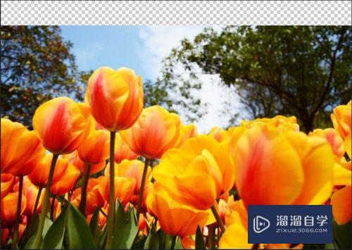 <esred>PS</esred>怎么<esred>扩展</esred>图片？