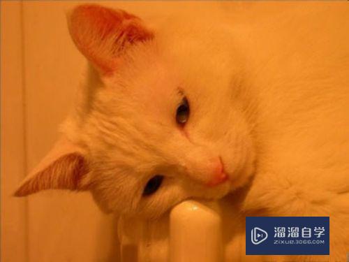 <esred>PS</esred>如何<esred>修复</esred>发黄的<esred>照片</esred>？