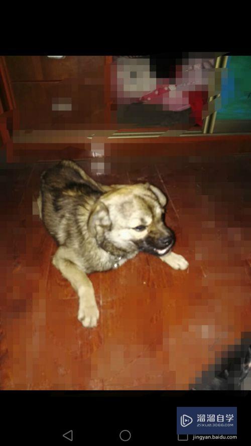 <esred>如何</esred><esred>使用</esred><esred>PS</esred>抠图<esred>抠出</esred>人或物体？