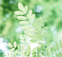 <esred>PS</esred>中如何<esred>制作</esred><esred>闪</esred><esred>图</esred>？