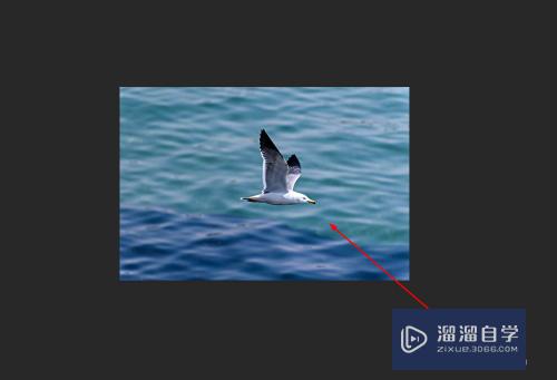 <esred>Photo</esred><esred>shop</esred>如何快速<esred>去掉</esred><esred>多余</esred>的内容？