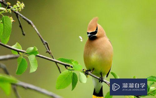 <esred>如何</esred><esred>用</esred><esred>PS</esred>同比例<esred>调整</esred><esred>图片</esred>的<esred>大小</esred>？