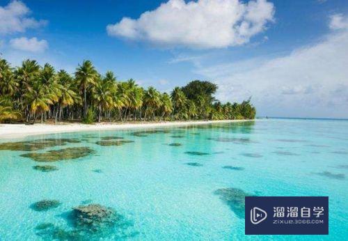 PS如何<esred>调整</esred>图片<esred>比例</esred>？