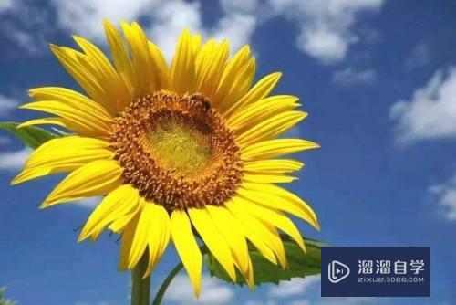CAD怎样快速标注直线长度(cad怎样快速标注直线长度和宽度)