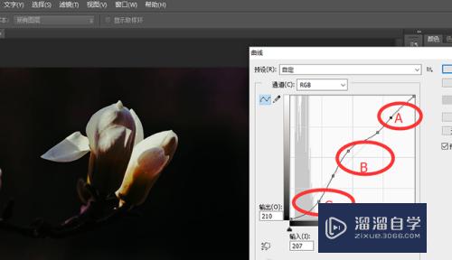 怎么使用PS中的色阶和曲线？(最简单）？