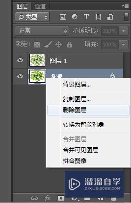 Photoshop CC通道抠图教程