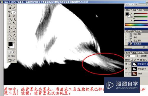 PS怎样抠毛发动物和头发3种方法？