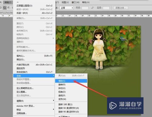 PS中如何缩放图片大小(ps中如何缩放图片大小快捷键)