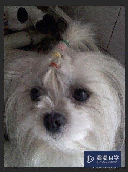 <esred>怎样用</esred><esred>PS</esred><esred>制作</esred><esred>出</esred>照片的水彩画<esred>效果</esred>？