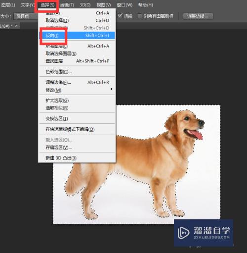 PS如何制作出破碎效果的图片(ps如何制作出破碎效果的图片教程)