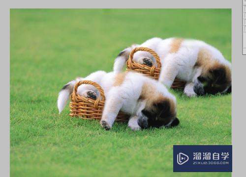 PS怎么使用仿制工具(ps怎么使用仿制工具抠图)