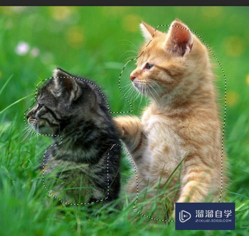 怎么使用PS中的快速蒙版(ps如何使用快速蒙版)