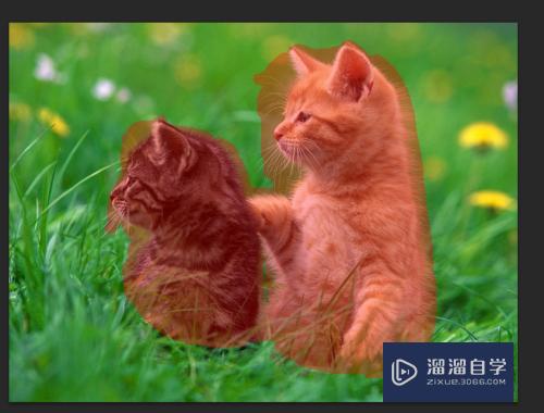 怎么使用PS中的快速蒙版(ps如何使用快速蒙版)