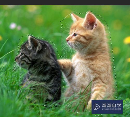 怎么使用PS中的快速蒙版(ps如何使用快速蒙版)